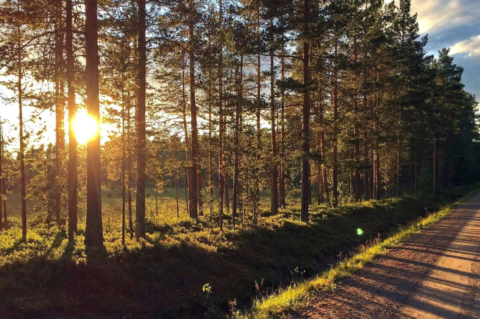 4 sterren vakantie huis in SÄLEN-Niet-getagd