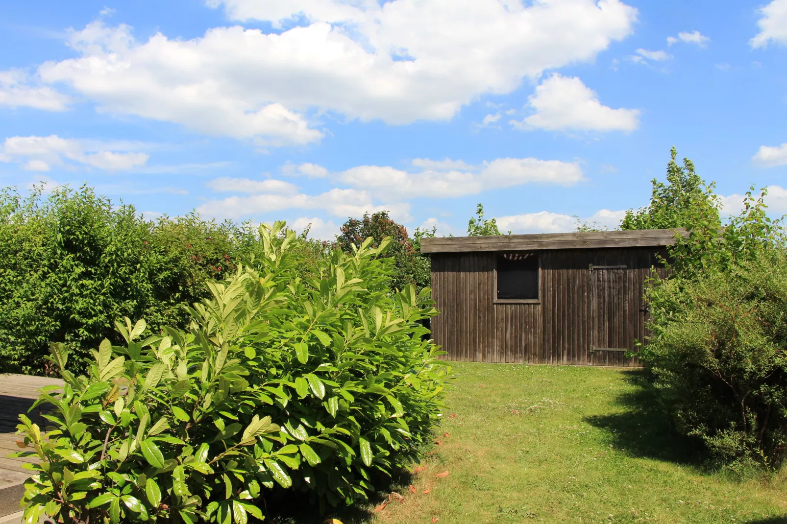 Ferienhaus Seestraße 39-Tuinen zomer