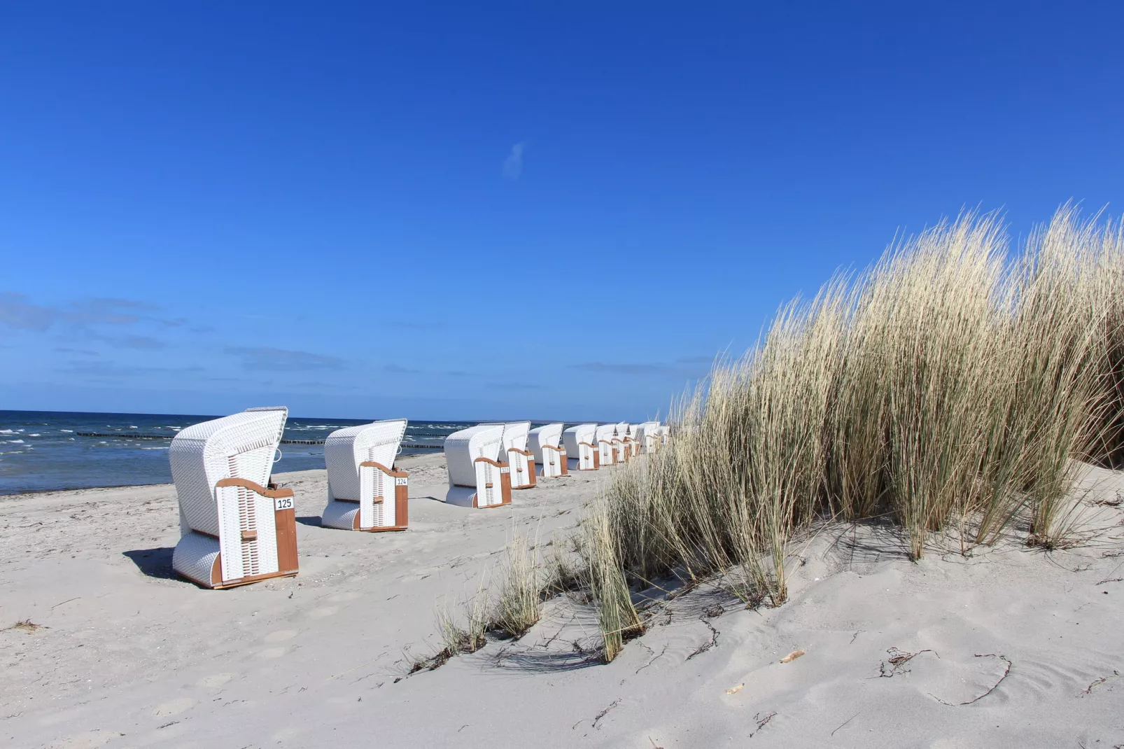 Ferienhaus Seestraße 39-Gebieden zomer 1km