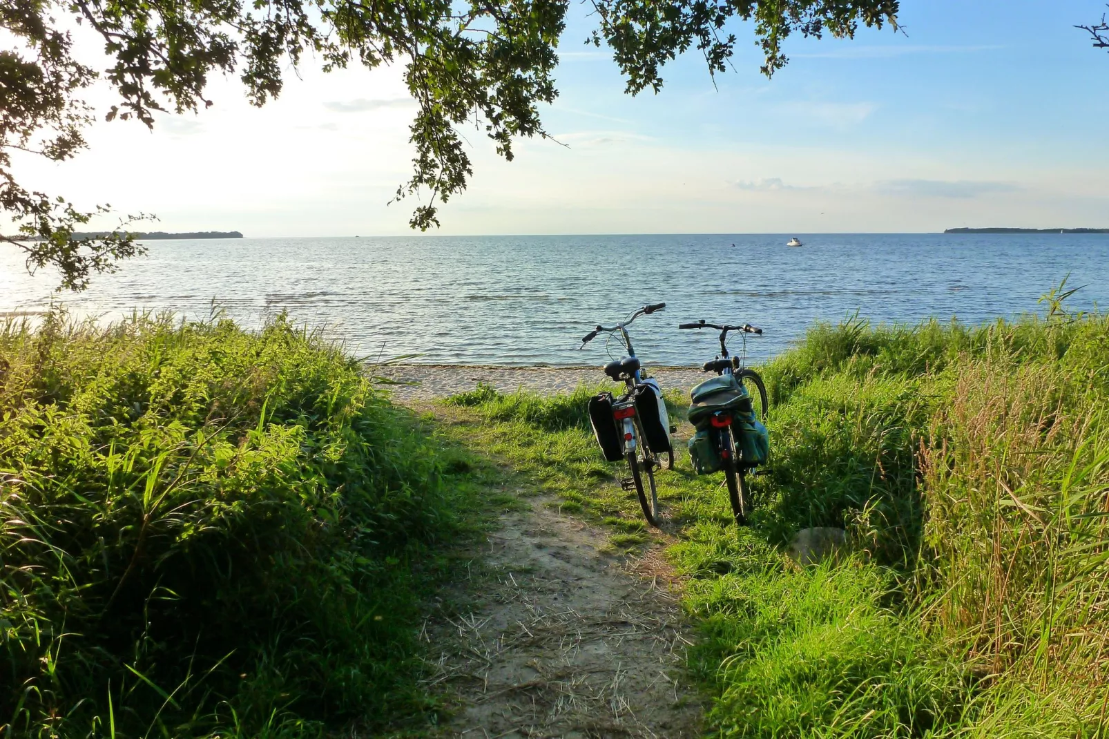 Baltic Hus-Gebieden zomer 1km