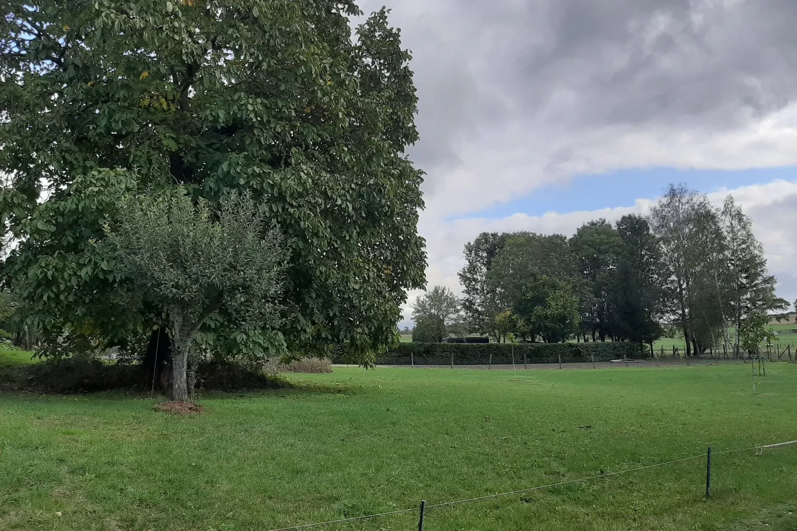 Ferienhaus Nattenheim-Uitzicht zomer