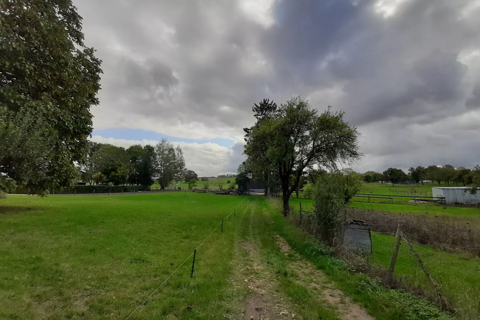 Ferienhaus Nattenheim-Uitzicht zomer