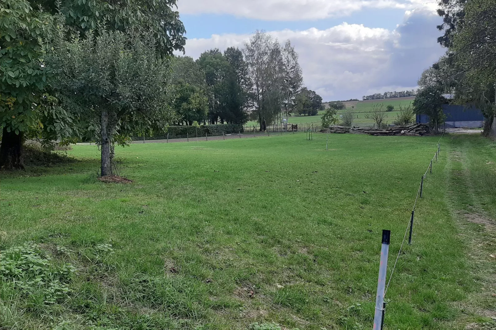 Ferienhaus Nattenheim-Uitzicht zomer