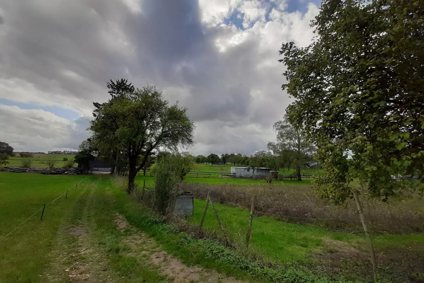 Ferienhaus Nattenheim-Gebieden zomer 1km