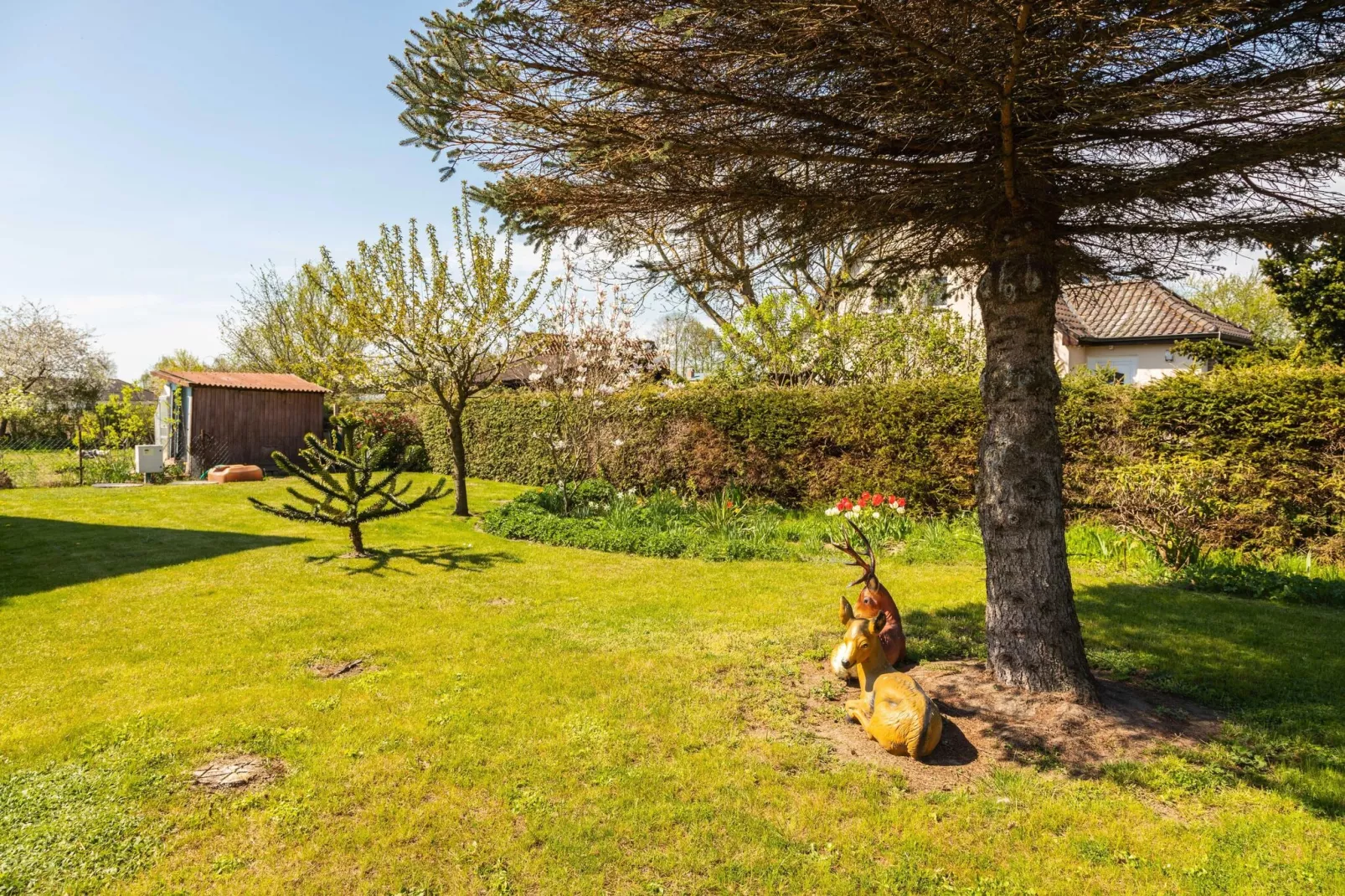 Ferienwohnung Dunker nähe Ostsee-Tuinen zomer