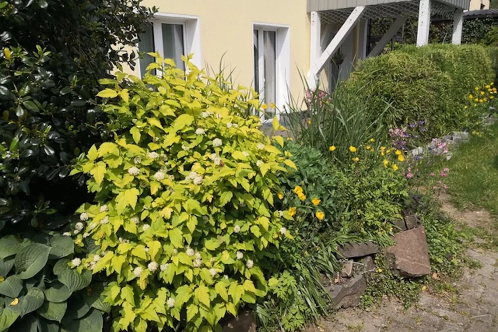 Green Buildings Ferienwohnung Herscheid-Sauerland-Terrasbalkon