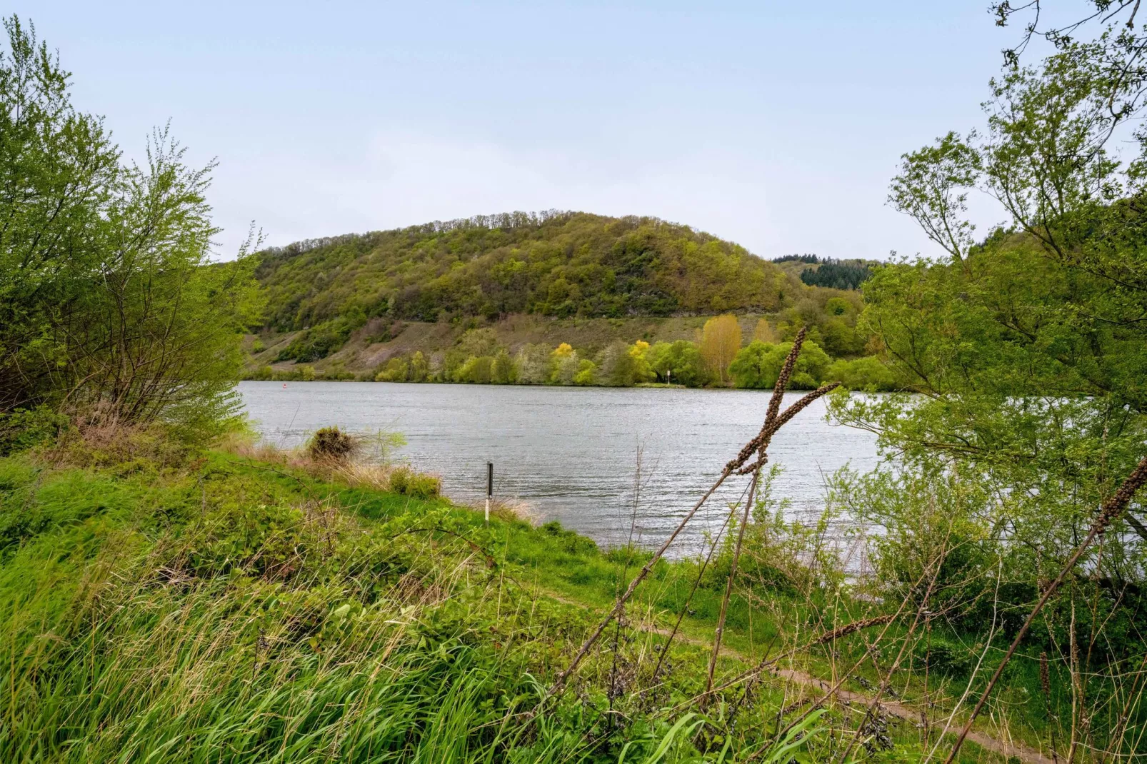 Ferienwohnung mit Moselblick-Gebieden zomer 5km