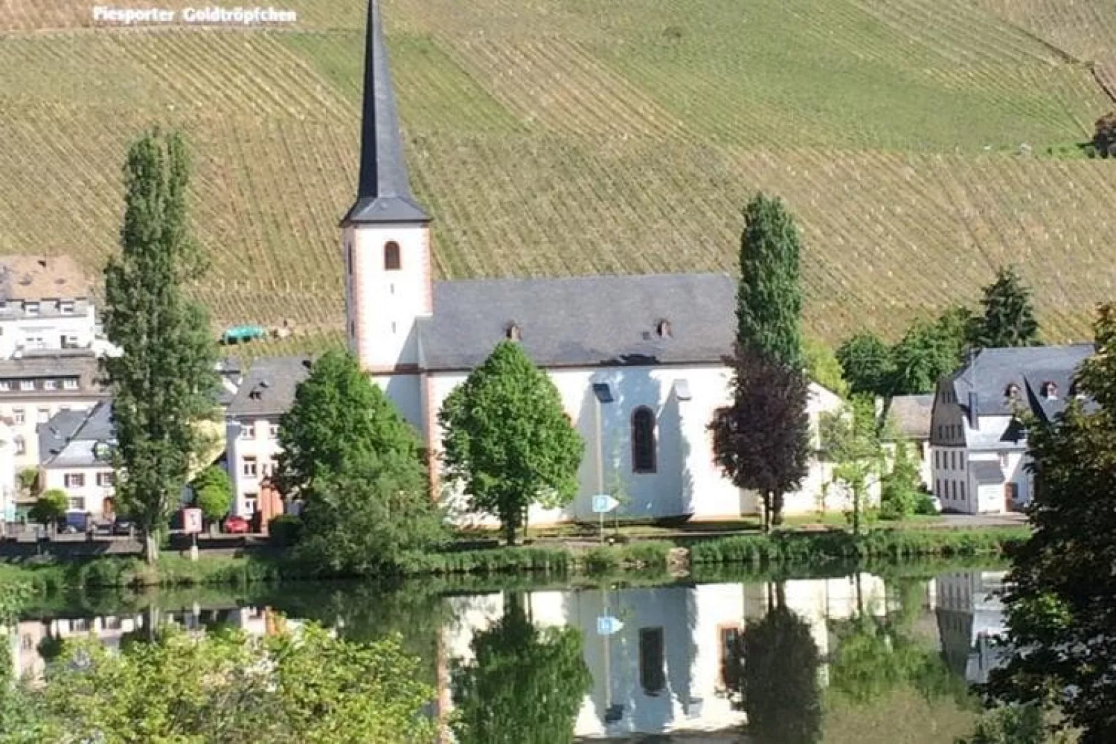 Ferienwohnung mit Moselblick-Niet-getagd