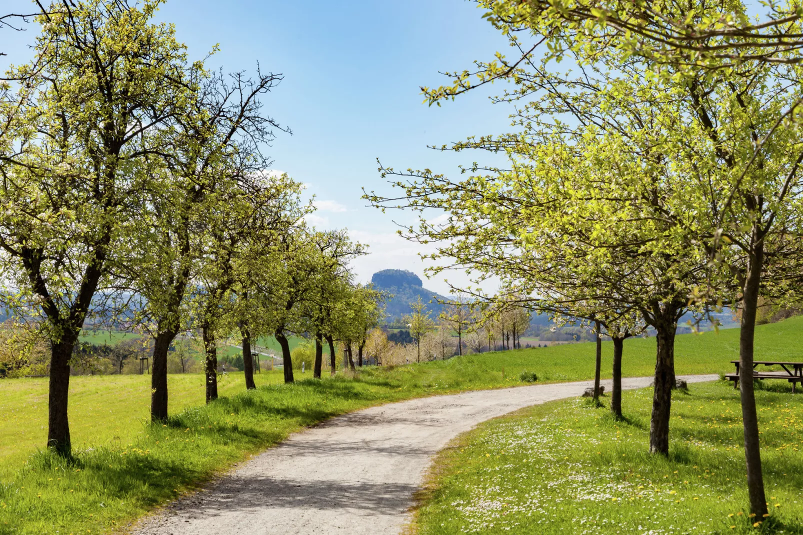 Sächsische Schweiz-Gebieden zomer 1km