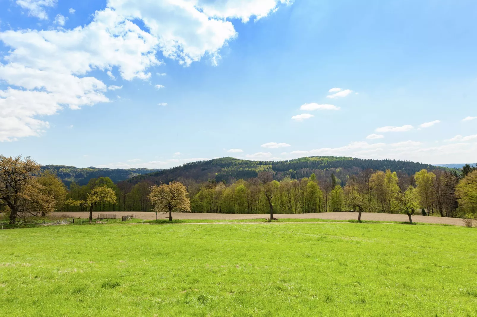 Sächsische Schweiz-Gebieden zomer 1km