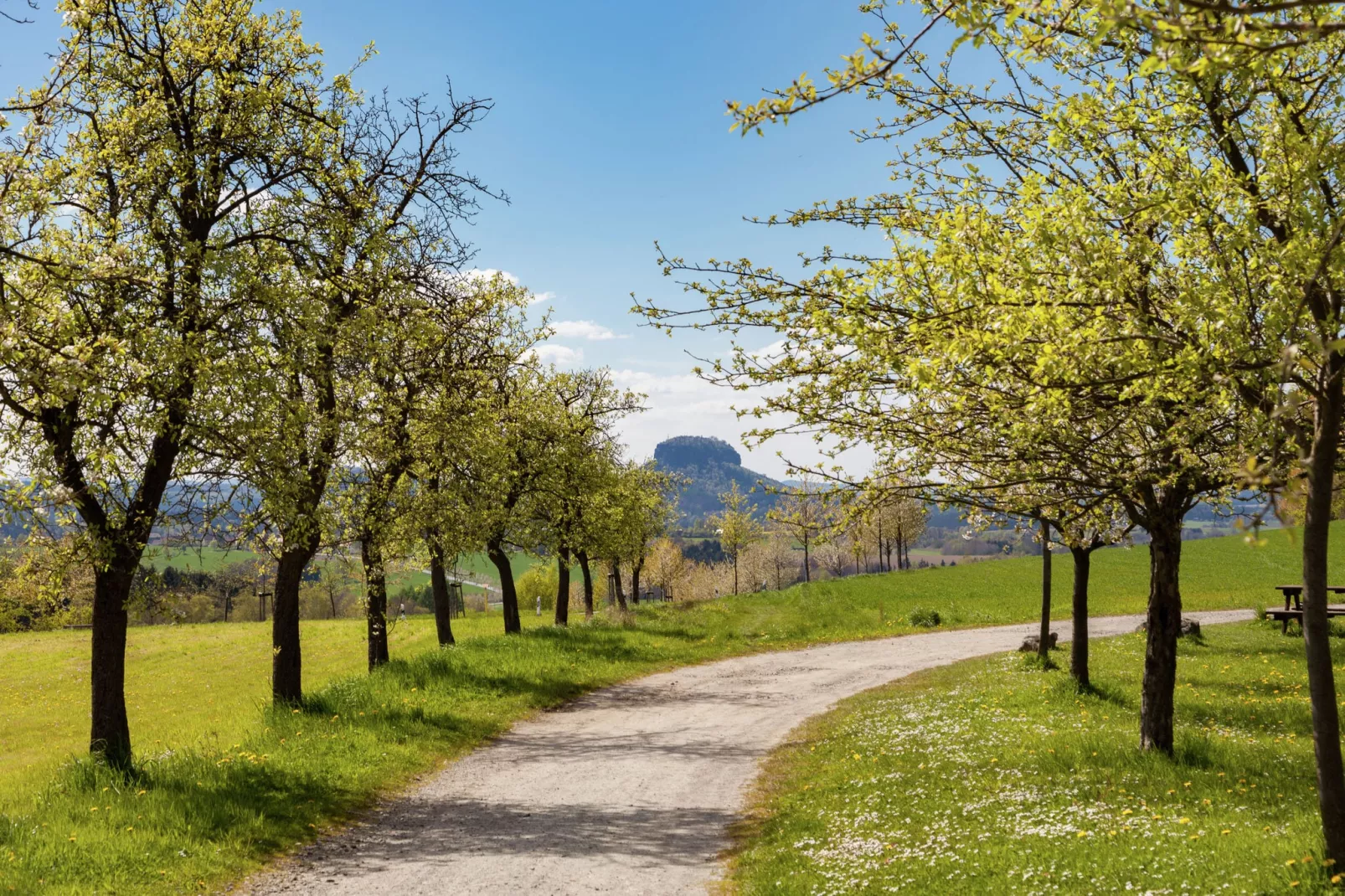 Sächsische Schweiz-Gebieden zomer 5km