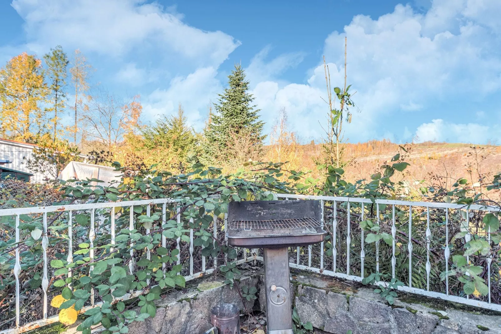 Vakantiehuis met eigen tuin-Uitzicht zomer