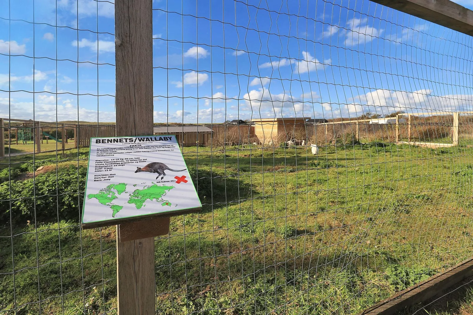 Gezellige kampeerhut in Lokken-Uitzicht