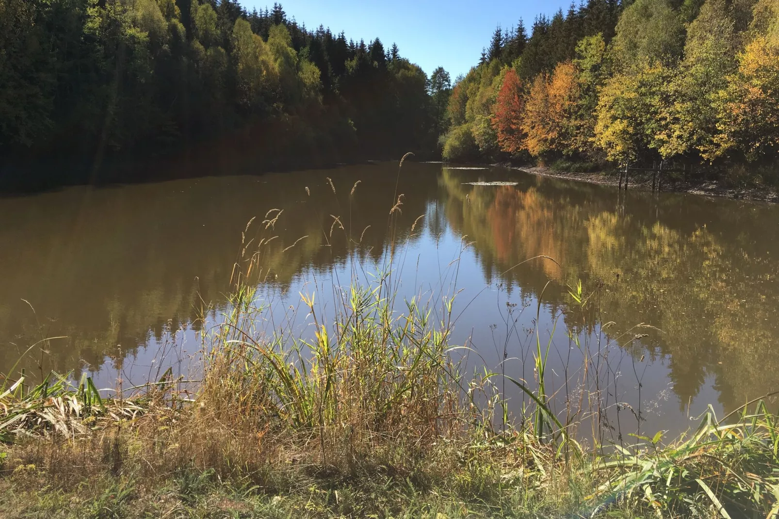 Im Limbachtal-Gebieden zomer 5km