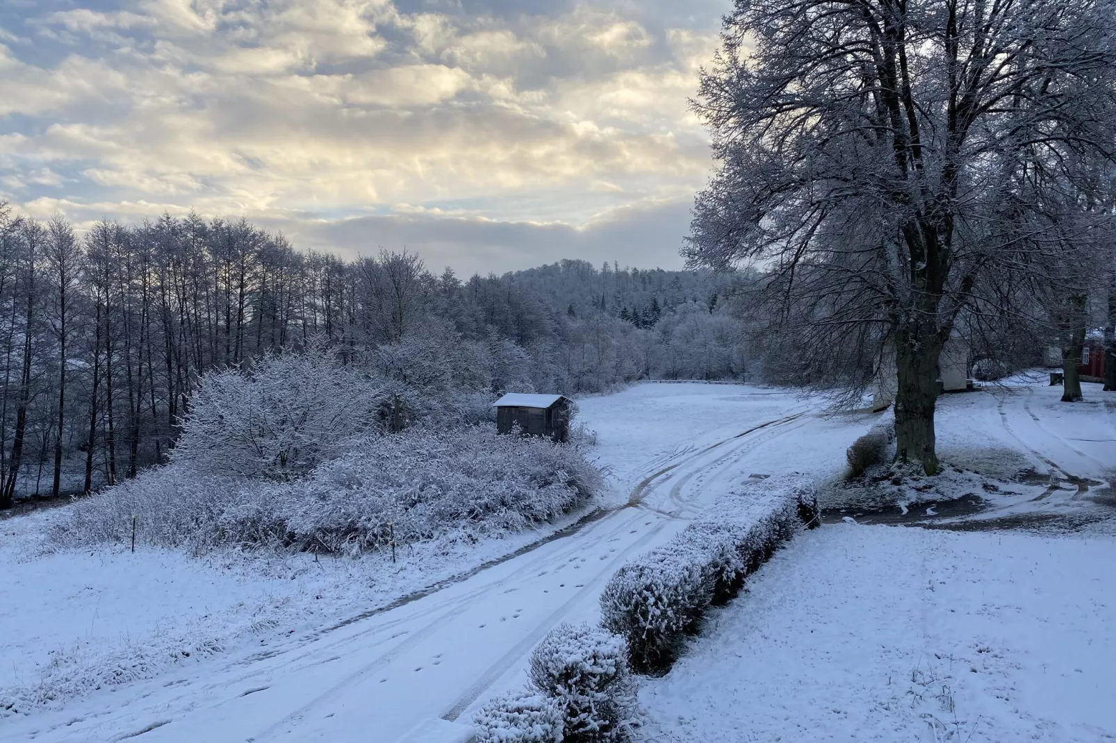 Im Limbachtal-Gebied winter 1km