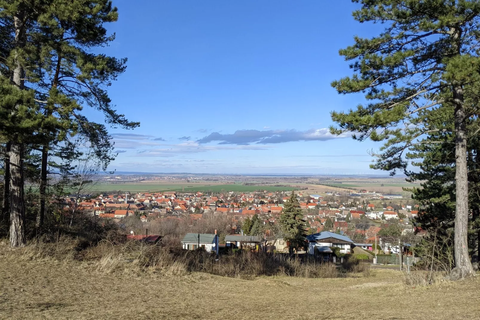 Ferienhaus Ballenstedt-Gebieden zomer 1km