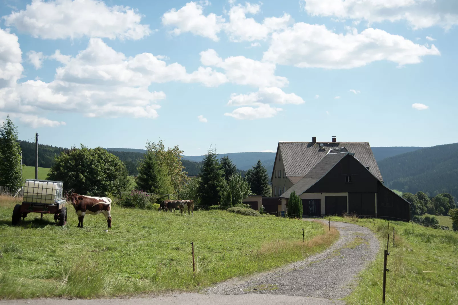 Rittersgrün-Gebieden zomer 5km