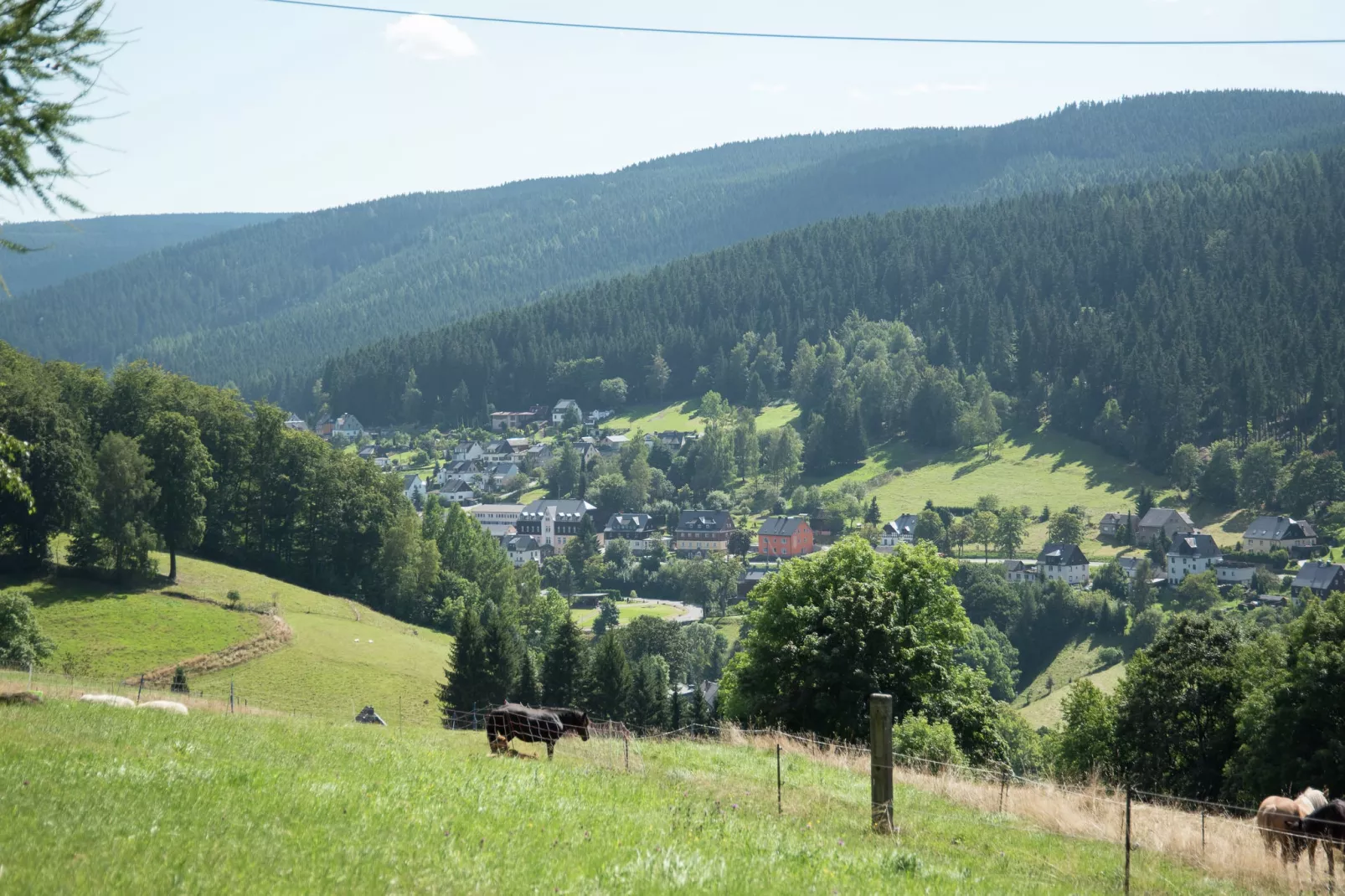 Rittersgrün-Gebieden zomer 5km