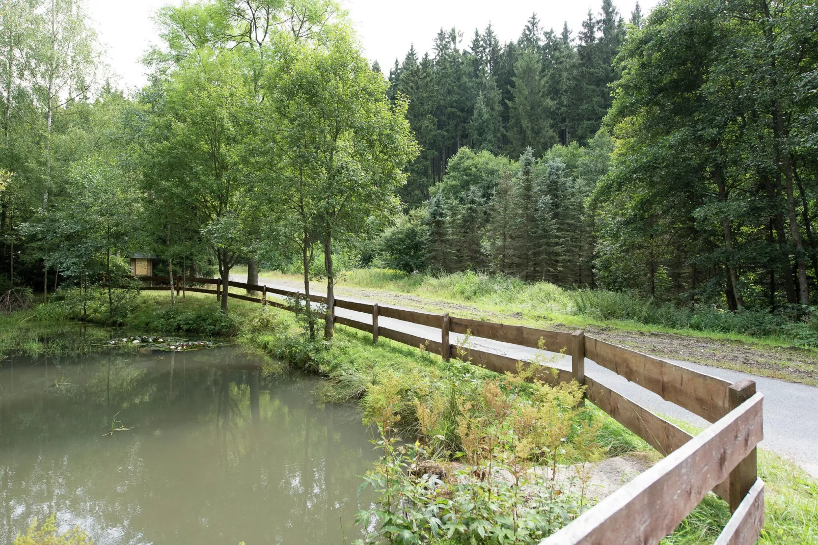 Im Erzgebirge-Gebieden zomer 1km