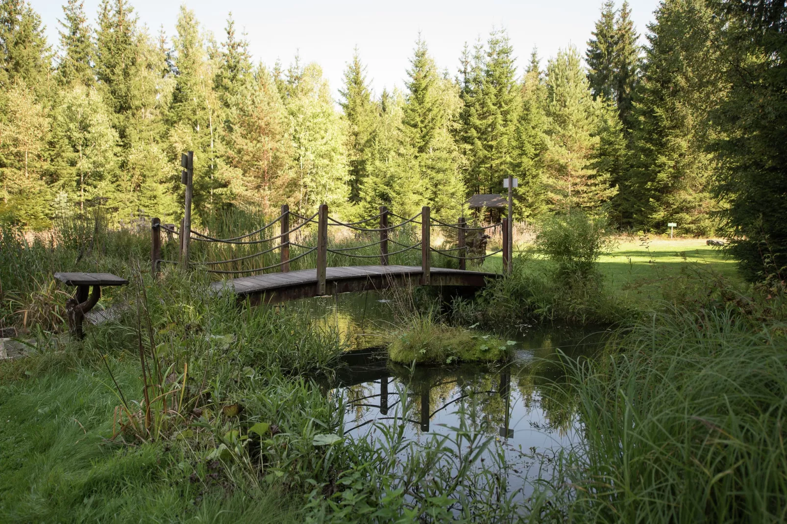 Im Erzgebirge-Gebieden zomer 1km