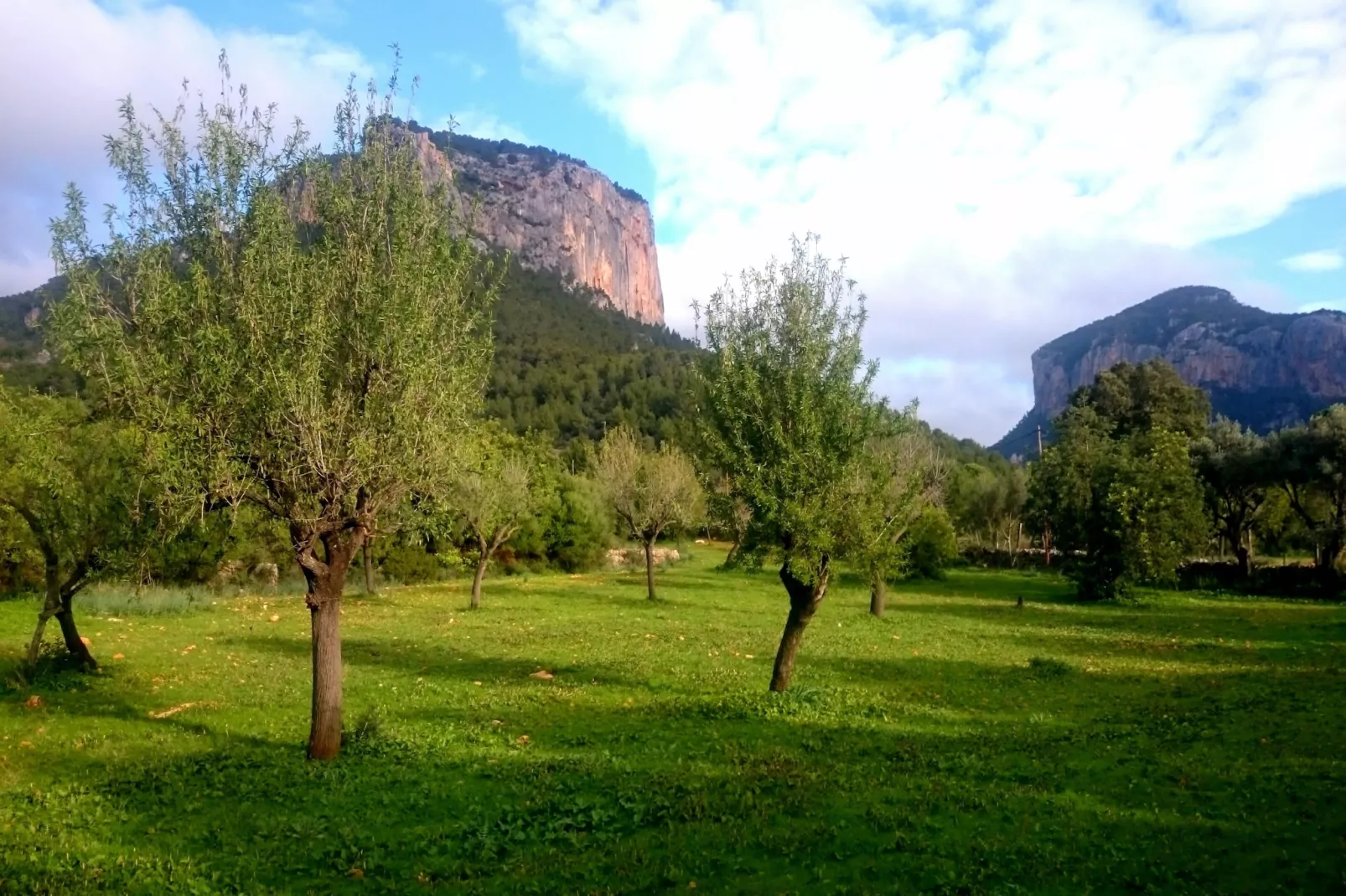 Ca Na Carme (alaronera)-Gebieden zomer 1km