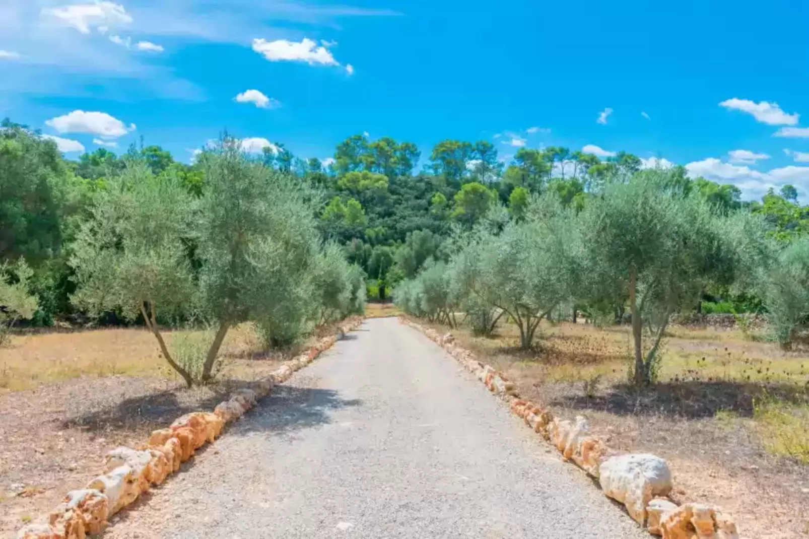 Can Pina - Eco Cascada -