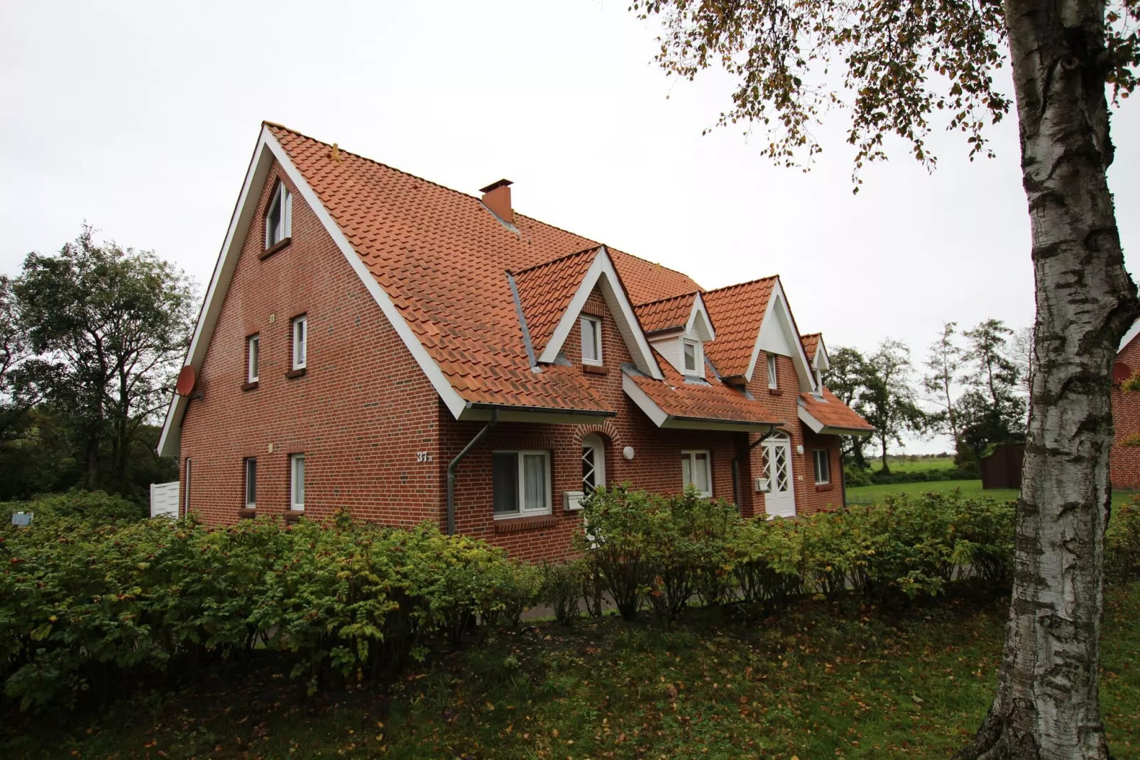 Ferienwohnung Sommerdeich - 4 Personen-Buitenkant zomer
