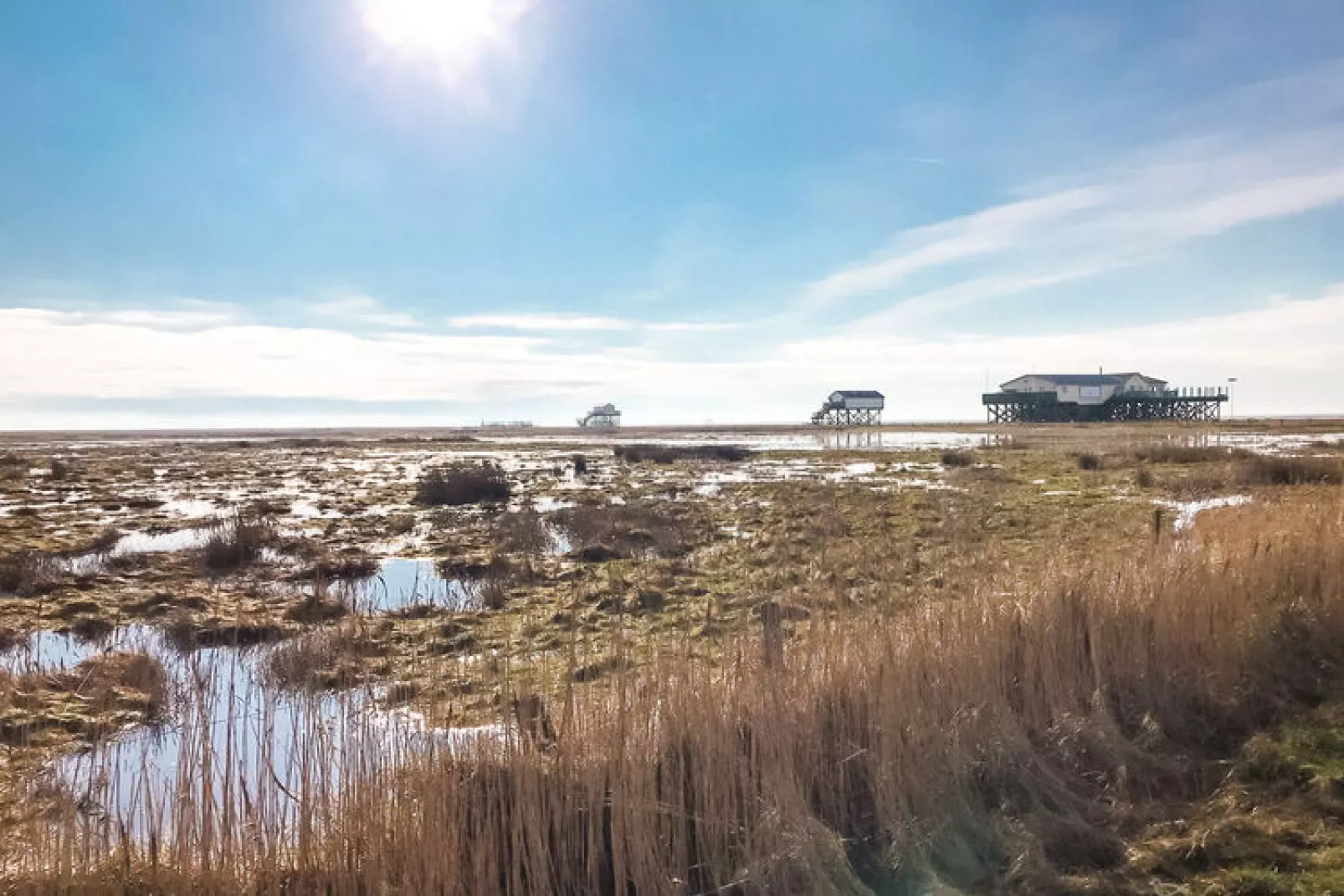 Ferienwohnung Vogelkoje Vollerwiek-Gebieden zomer 5km