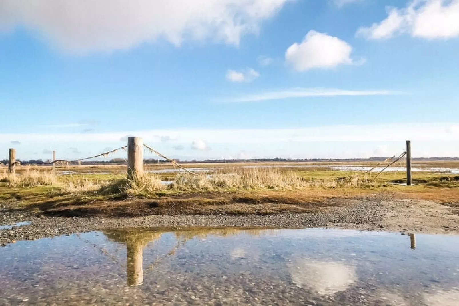 Ferienwohnung Vogelkoje Vollerwiek-Gebieden zomer 5km