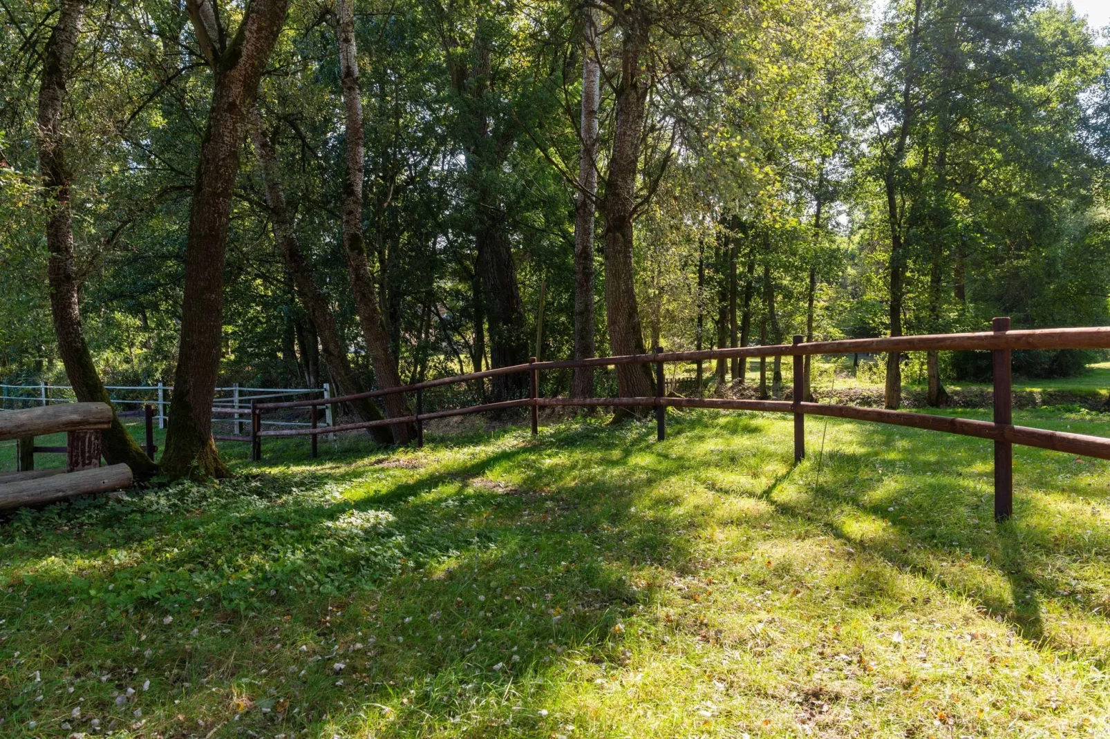 Lüneburger Heide-Tuinen zomer