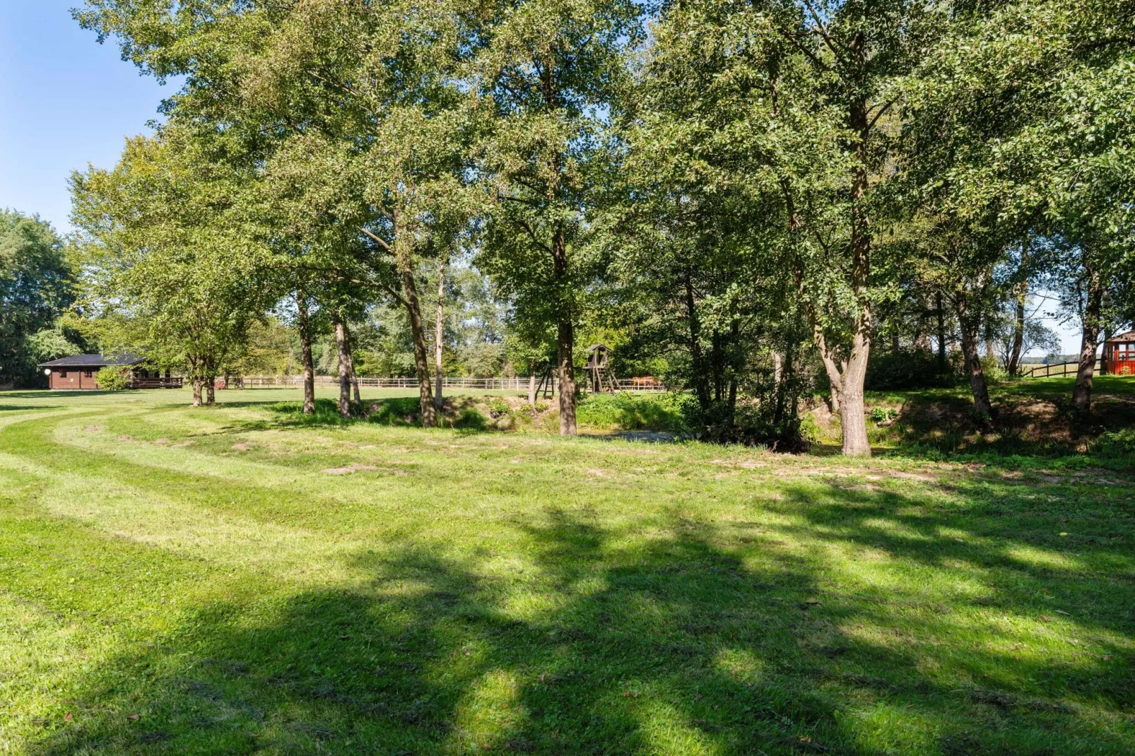 Lüneburger Heide-Gebieden zomer 1km