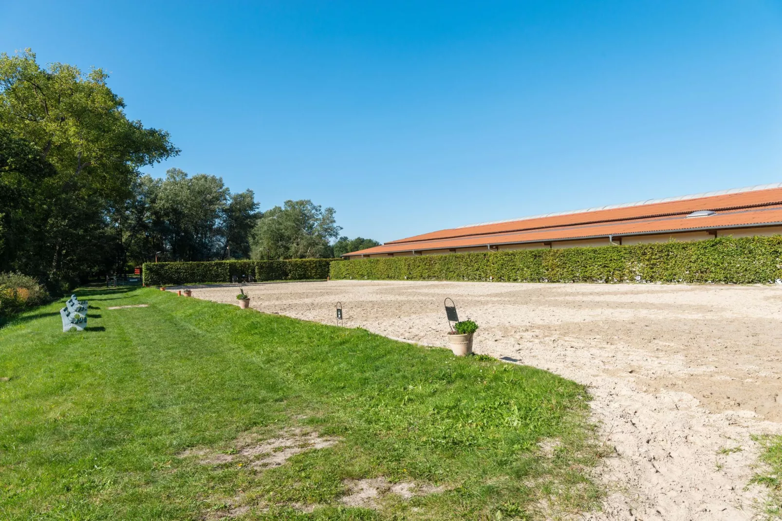 Lüneburger Heide-Gebieden zomer 5km