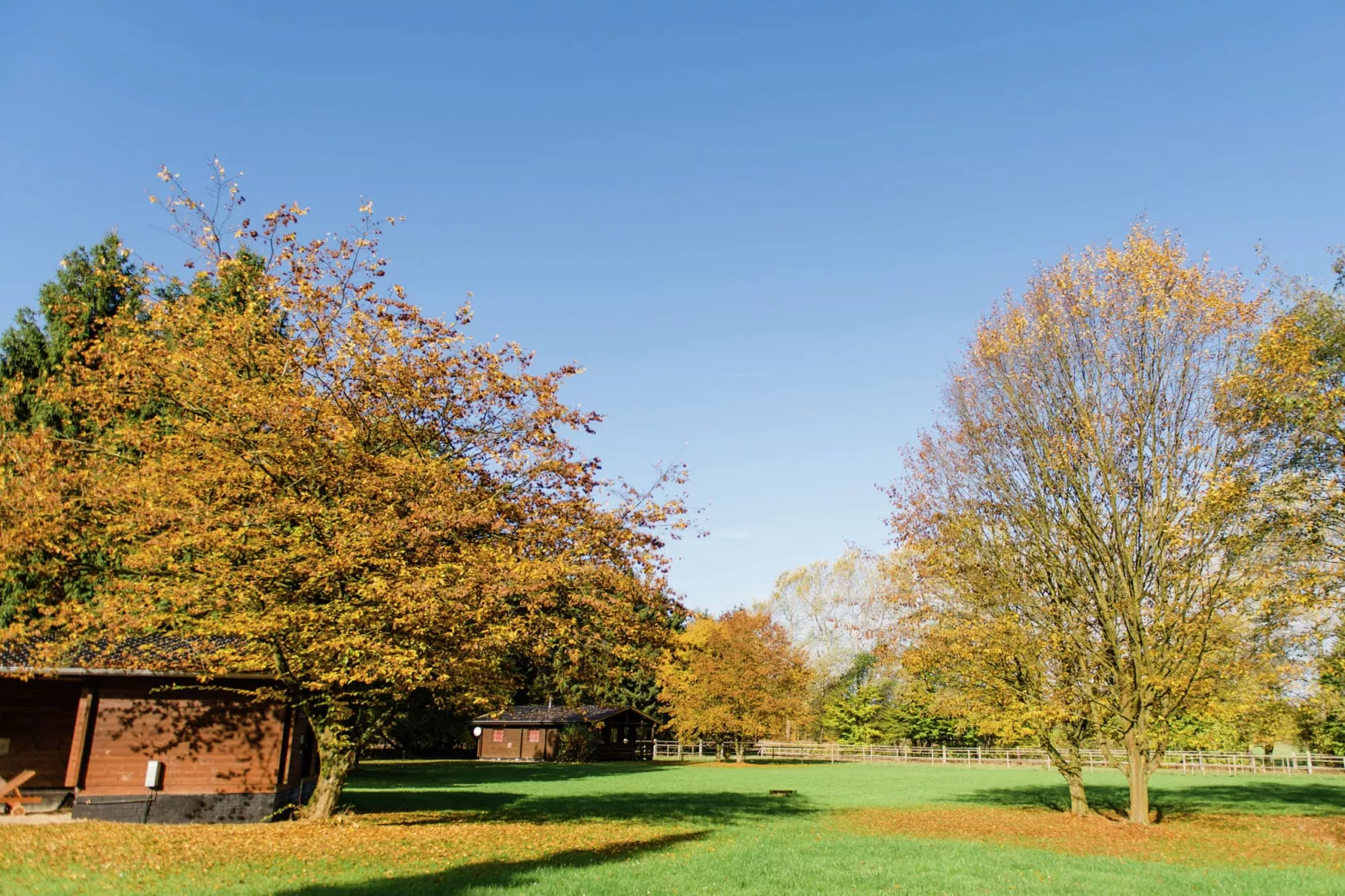 Lüneburger Heide-Uitzicht zomer