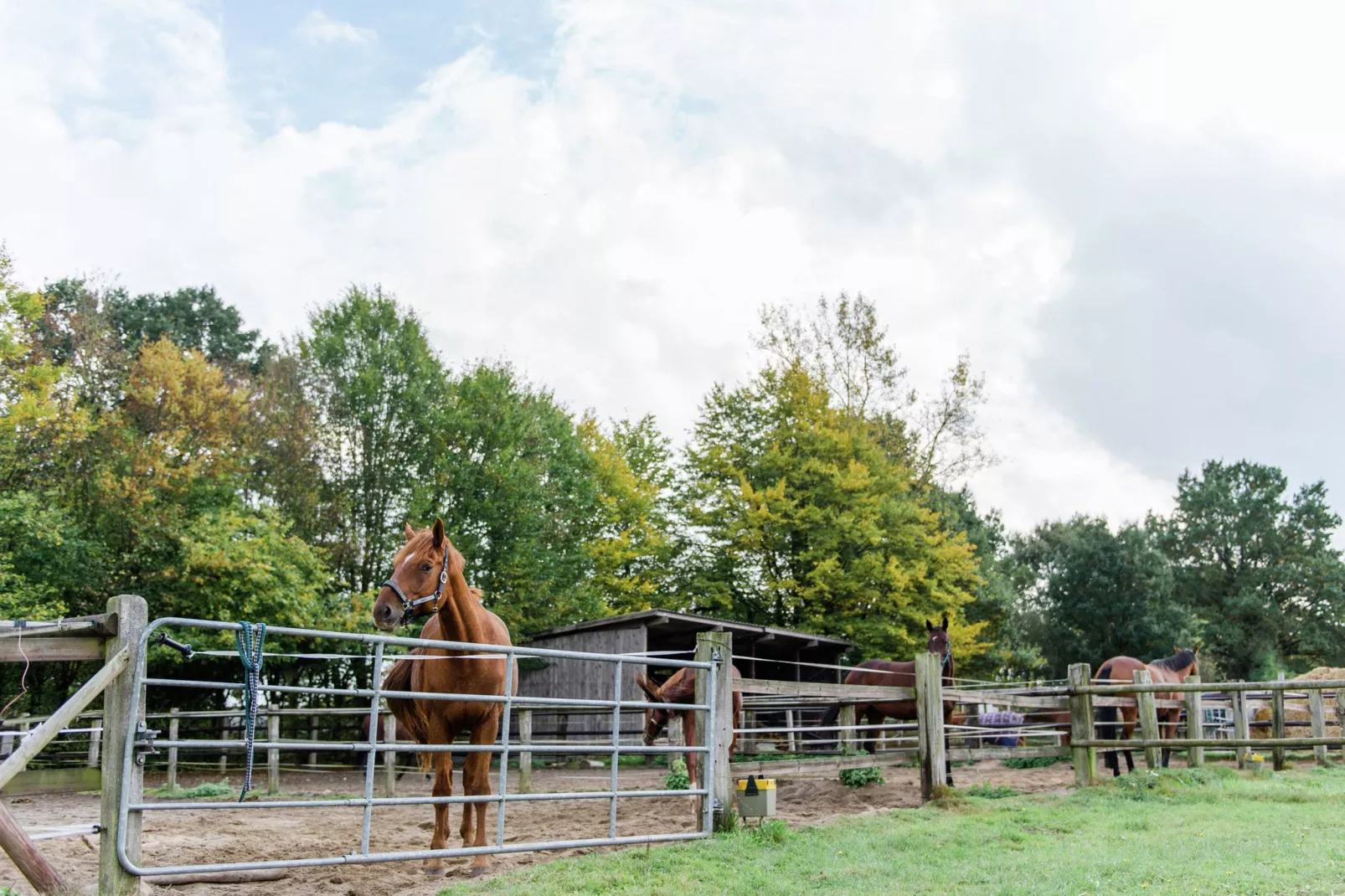 Lüneburger Heide-Faciliteiten