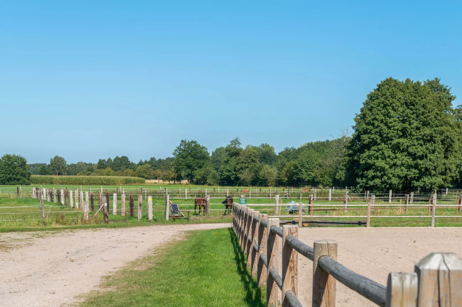 Lüneburger Heide-Gebieden zomer 1km