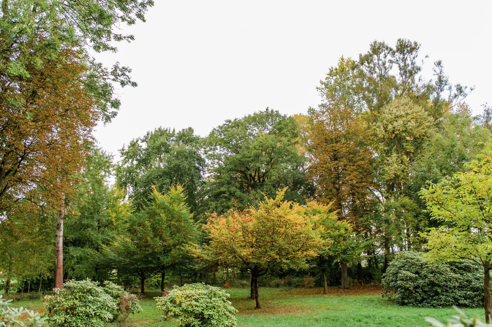 Lüneburger Heide-Gebieden zomer 5km