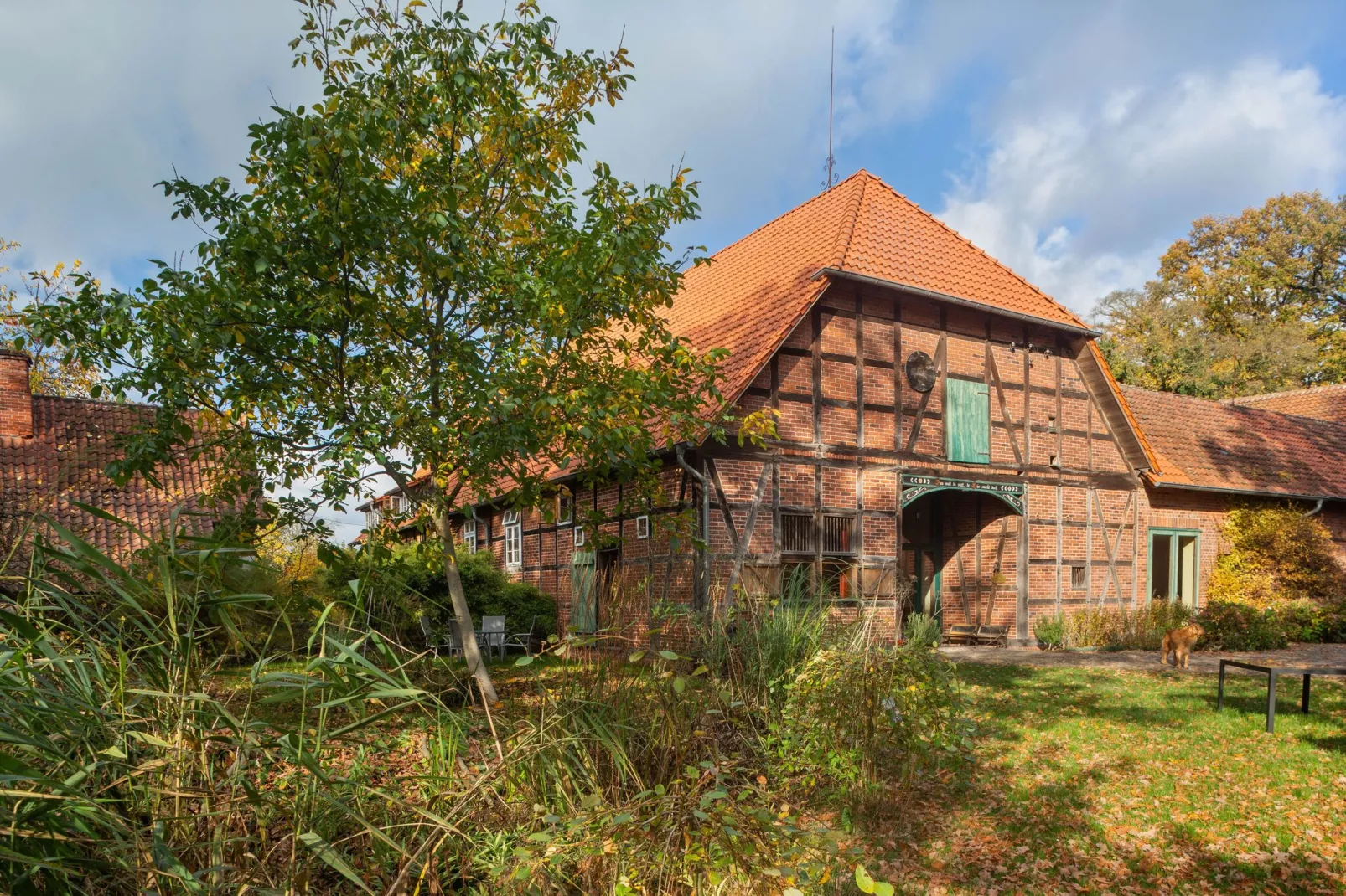 Biobauernhof-Buitenkant zomer