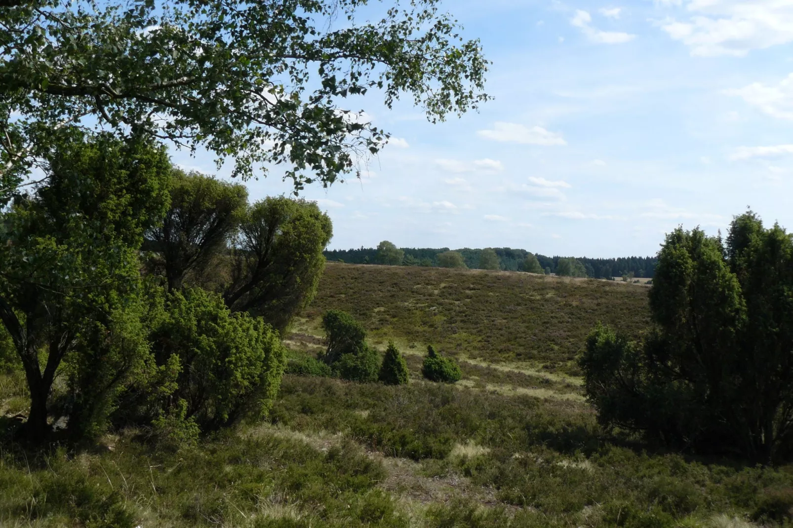 Ericaheidepark-Gebieden zomer 20km