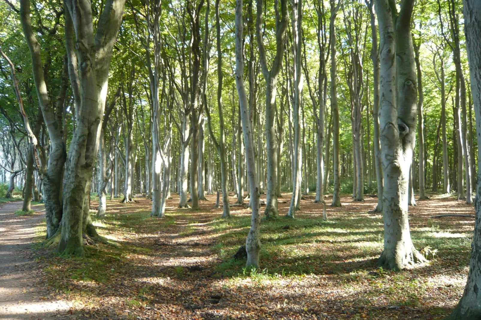 Burgblick-Gebieden zomer 5km