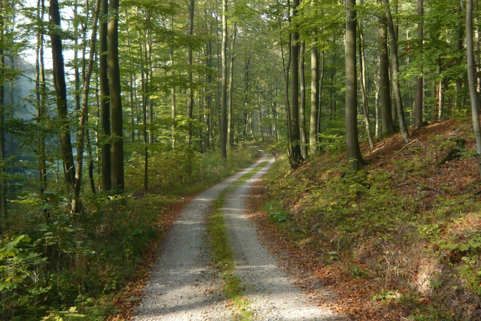 Burgblick-Gebieden zomer 20km