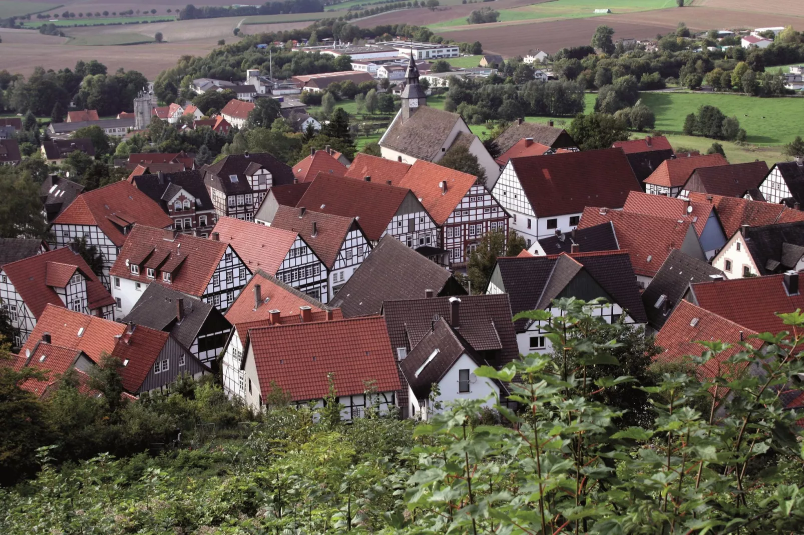 Ferienhaus Teutoburger Wald-Gebieden zomer 1km