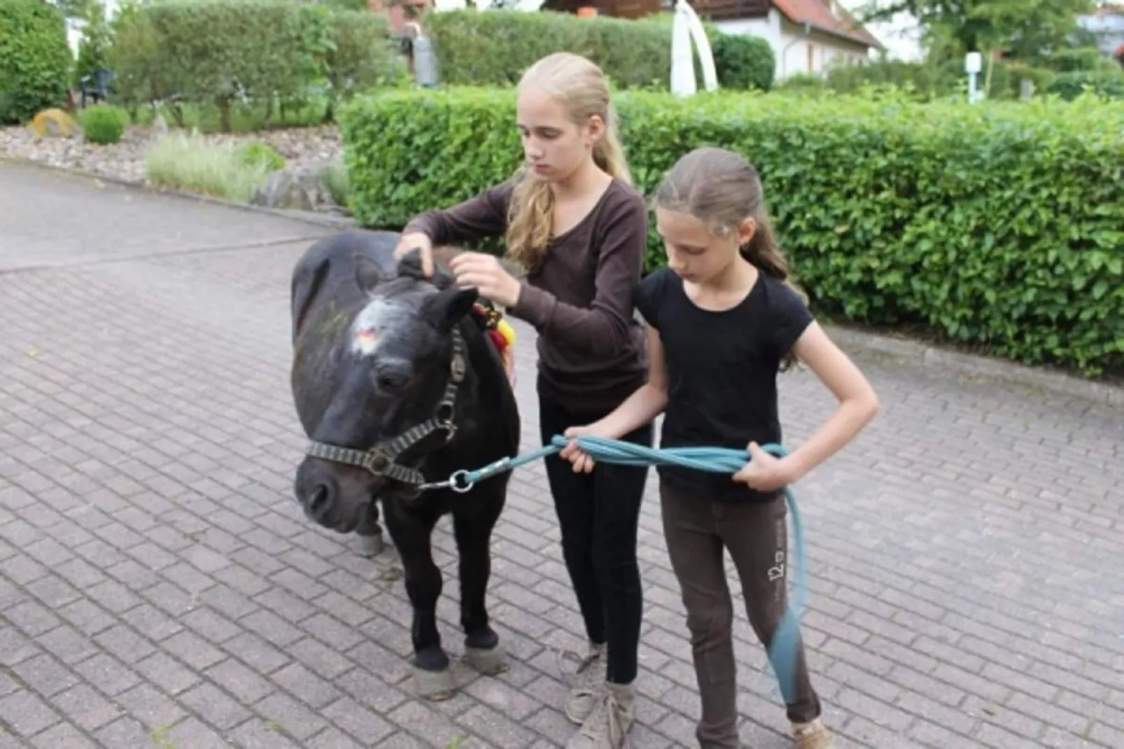 Feriendorf Natur pur 1-Parkfaciliteiten