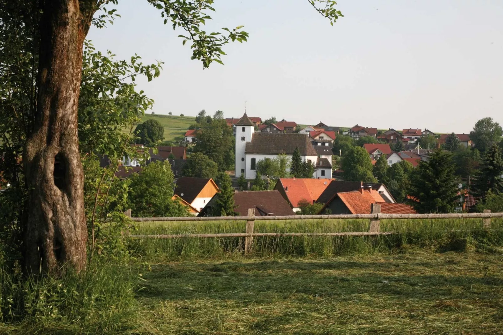 Feriendorf Natur pur 1-Gebieden zomer 5km