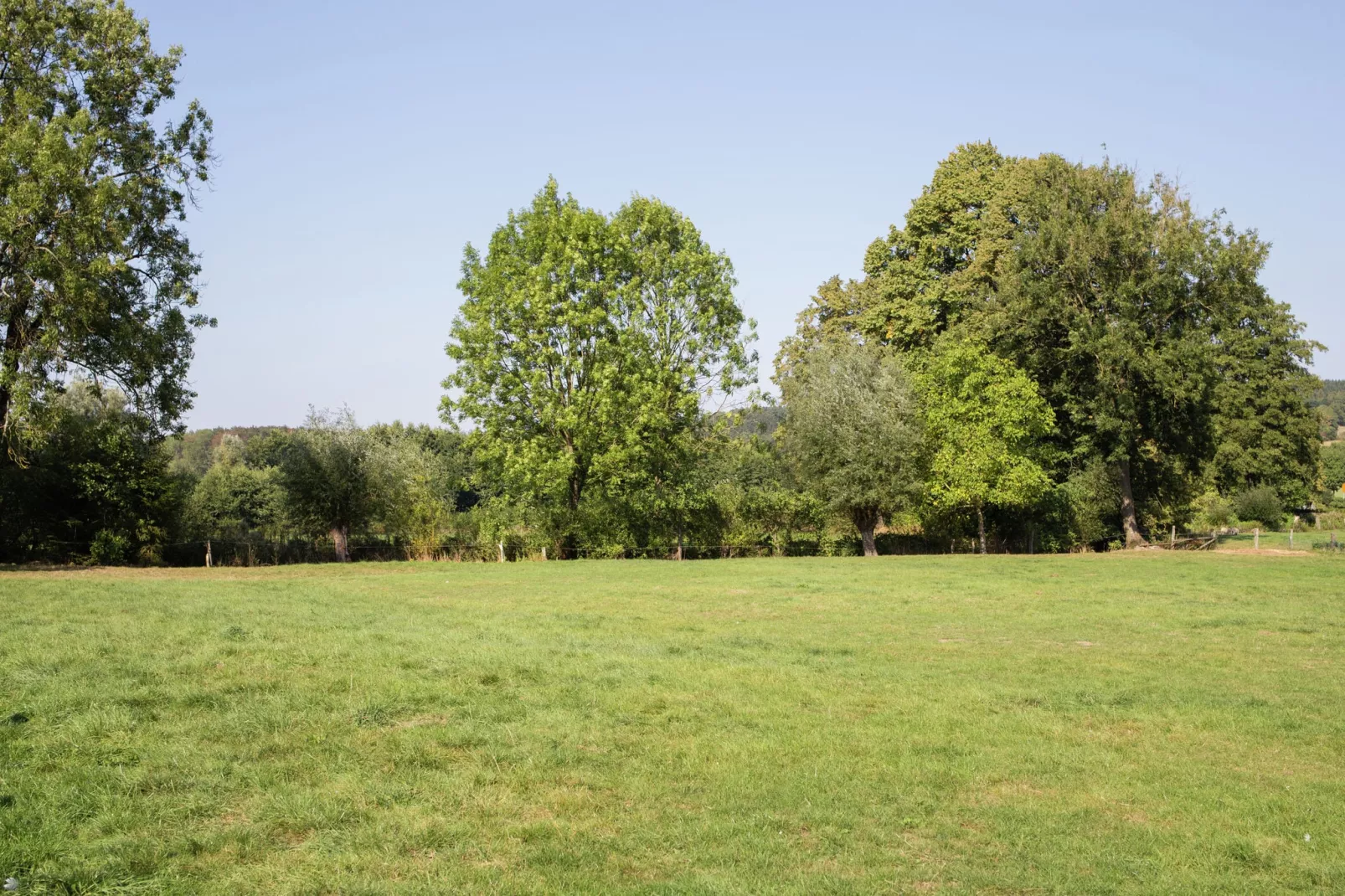 Nieheim-Merlsheim-Gebieden zomer 5km