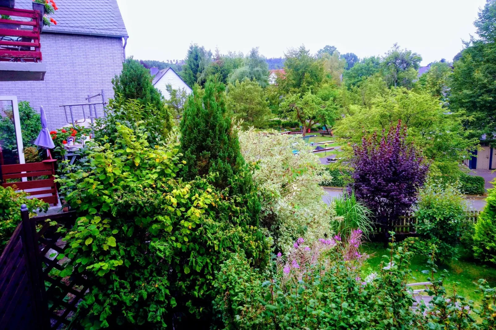 Remise-Uitzicht zomer