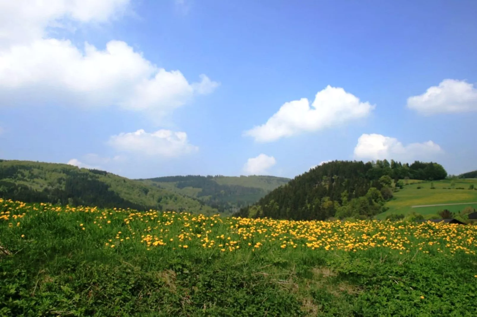 Am Iberg-Gebieden zomer 20km