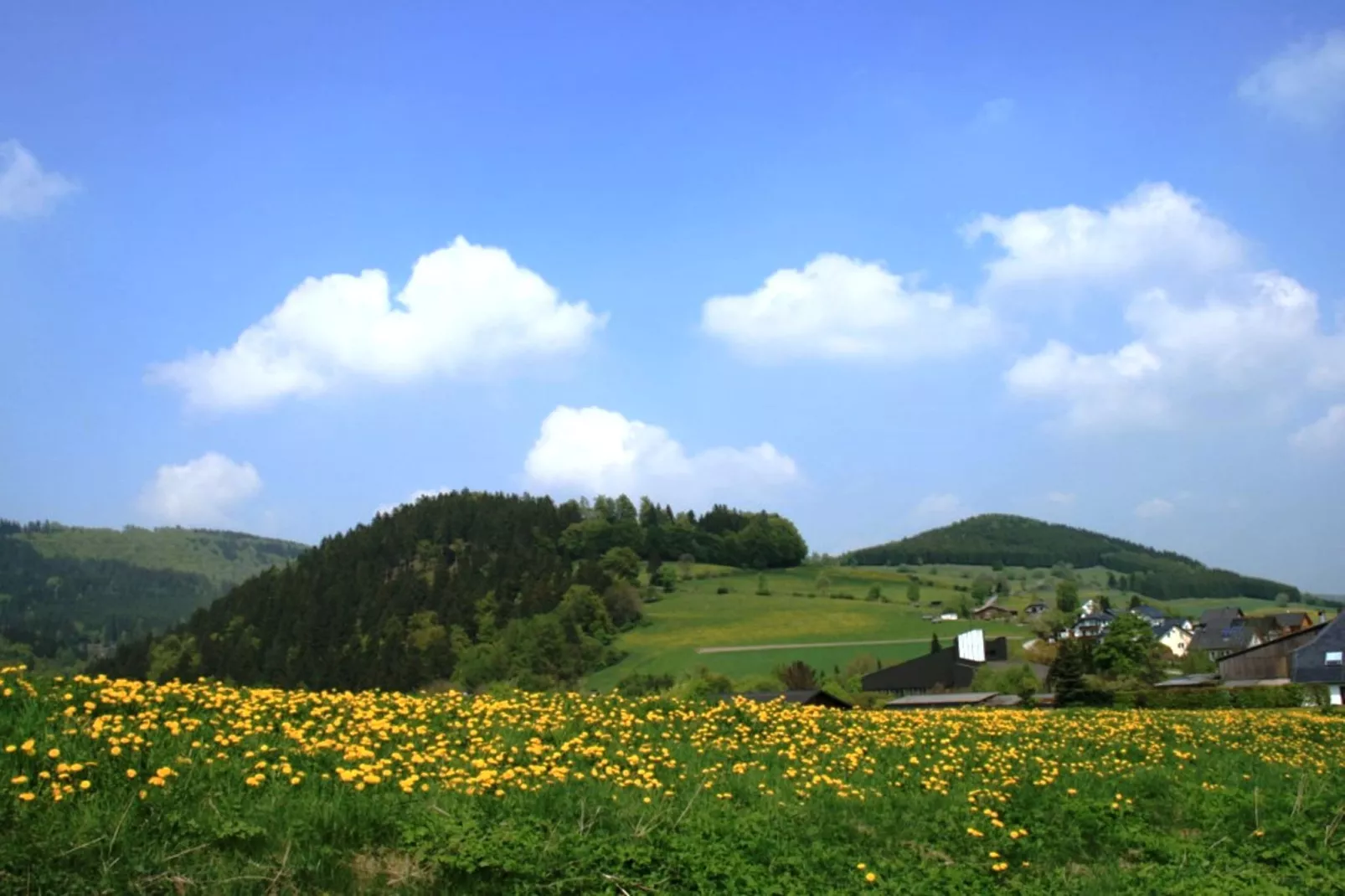 Haus am Iberg-Gebieden zomer 1km