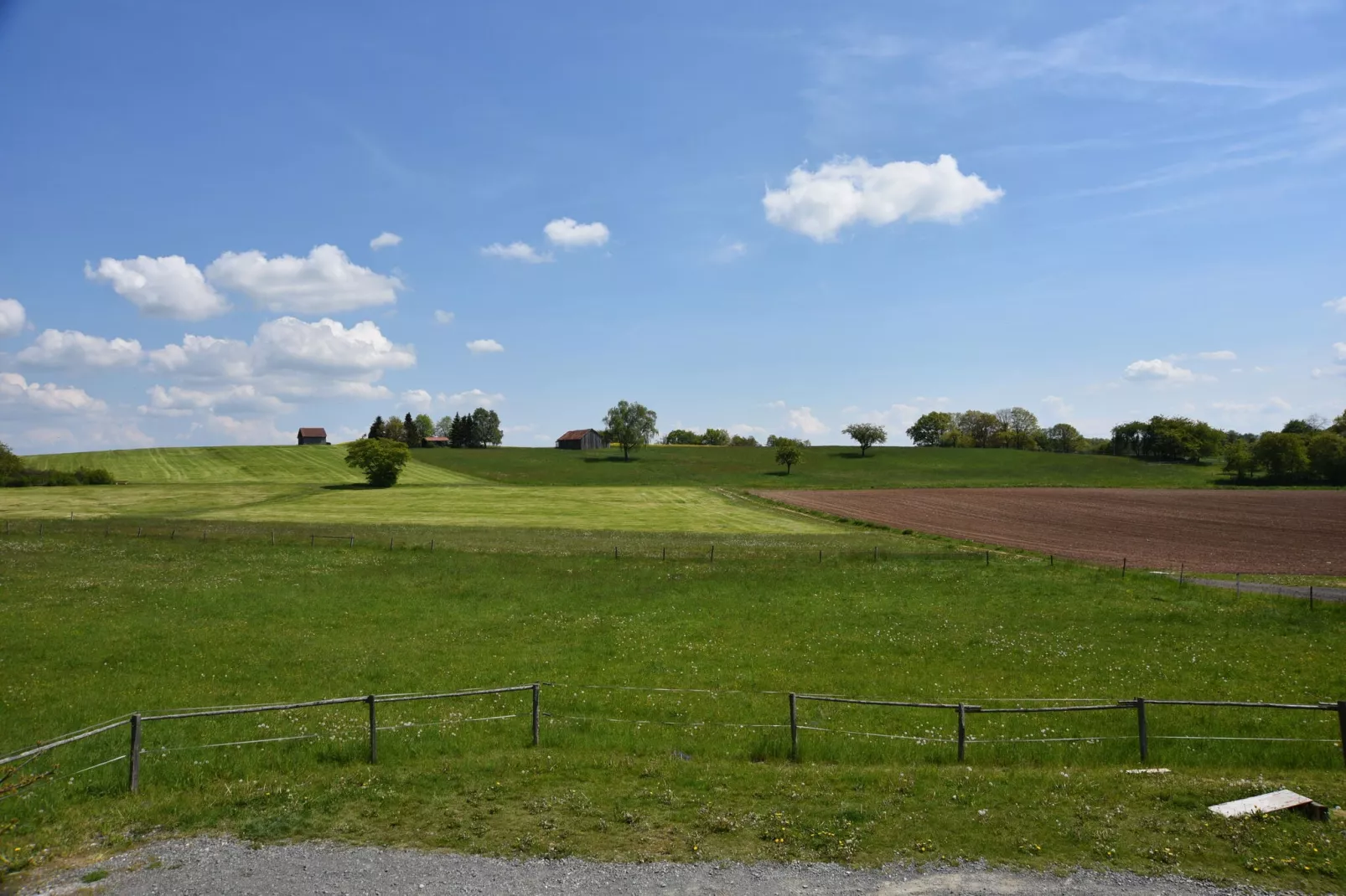 Eulennest-Gebieden zomer 1km