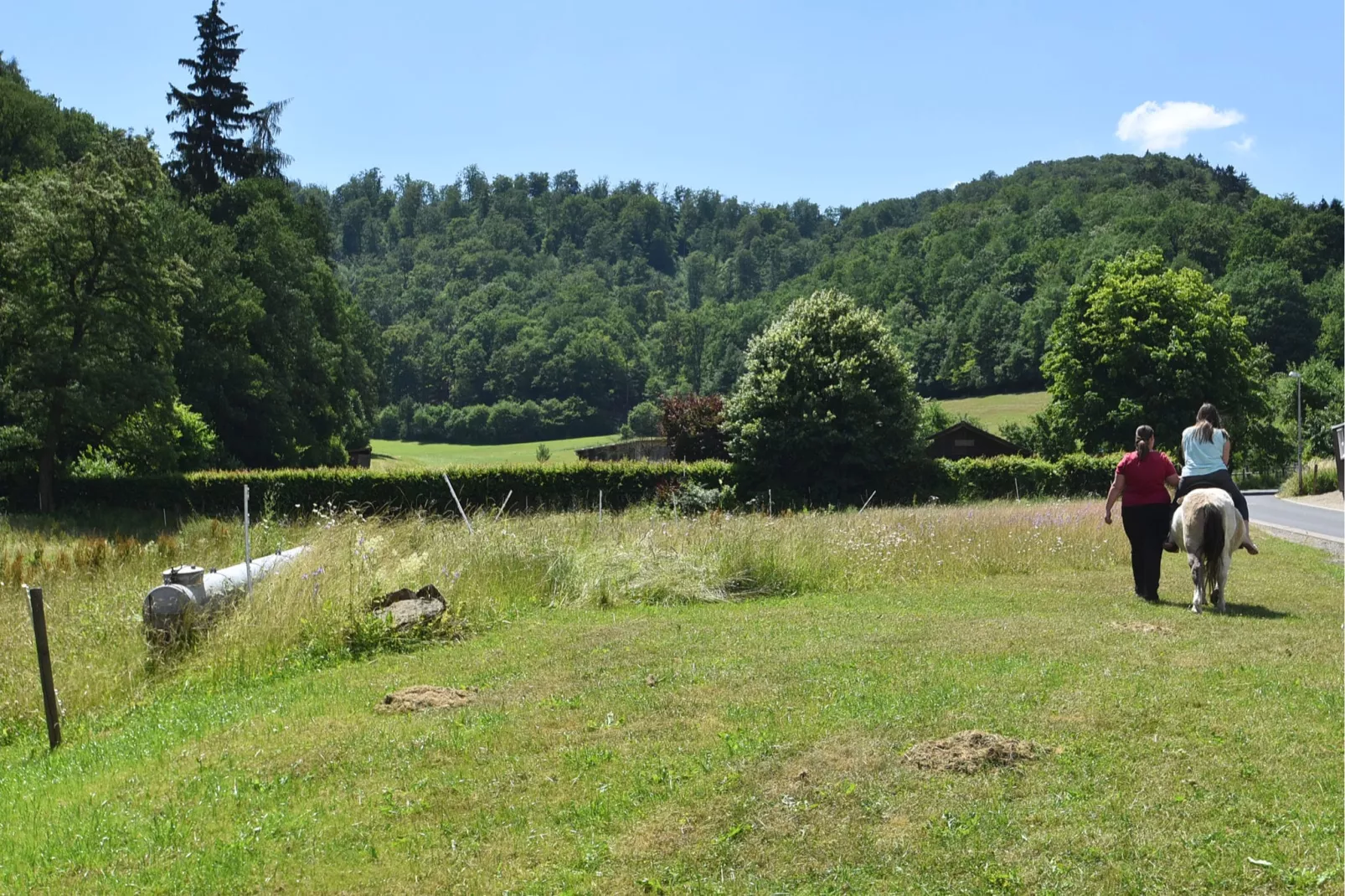 Am Ferienbauernhof FW 1 bis 7-Gebieden zomer 1km