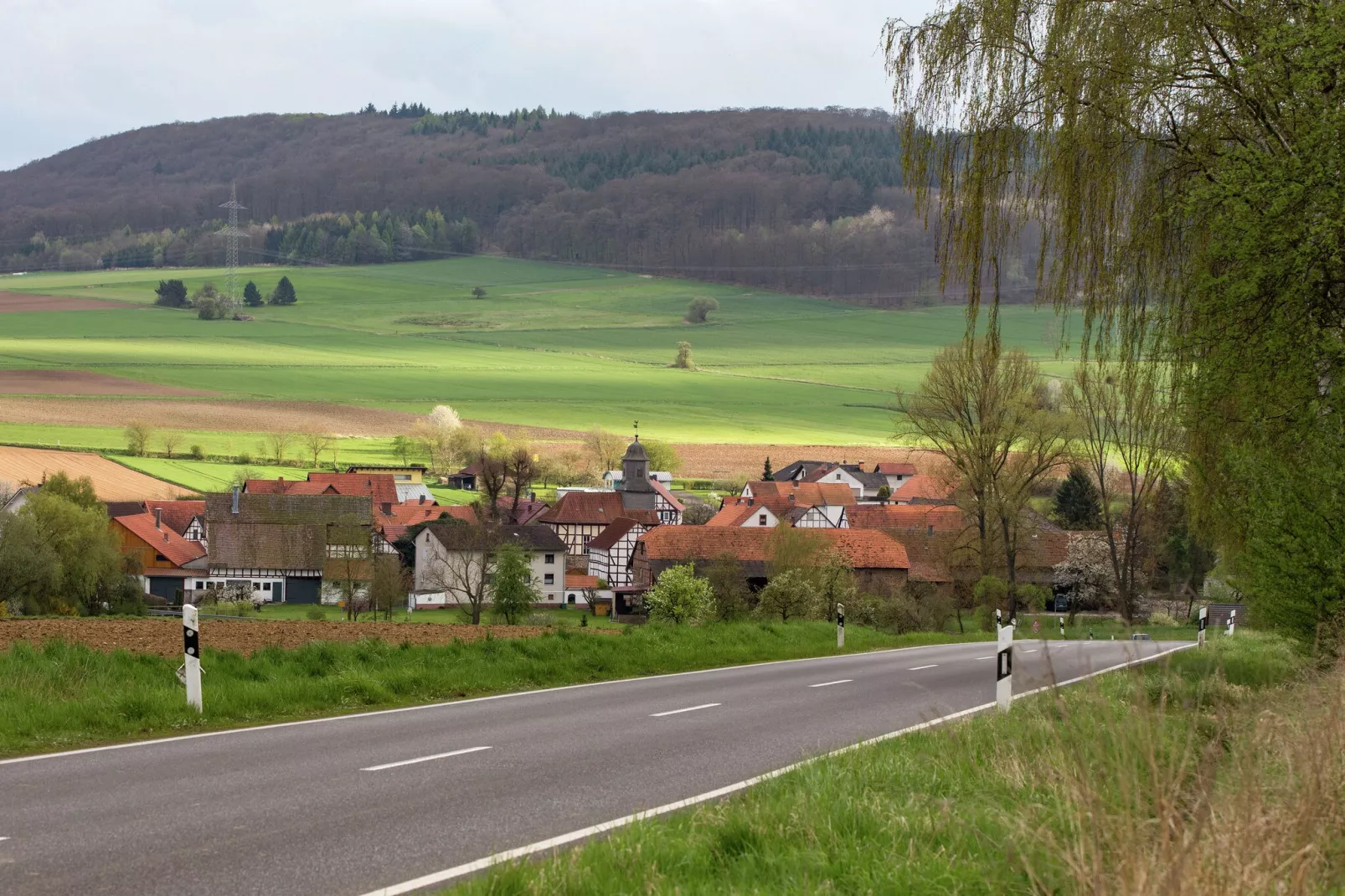 Ferienwohnung Gisela-Gebieden zomer 1km